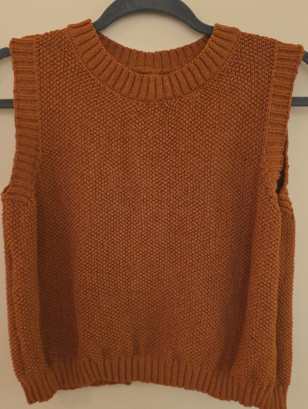 Backlezs Sleeveless Sweater Vest - Rust